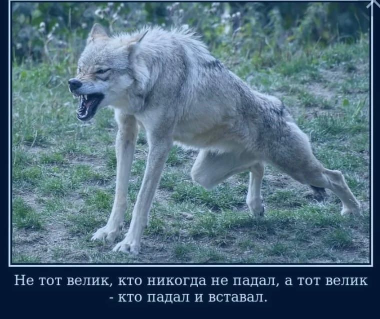 Не тот велик кто никогда не падал а тот велик кто падал и вставал