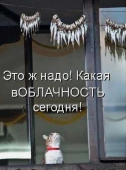Это ж надо Кзк вовлдчнодт сегодня