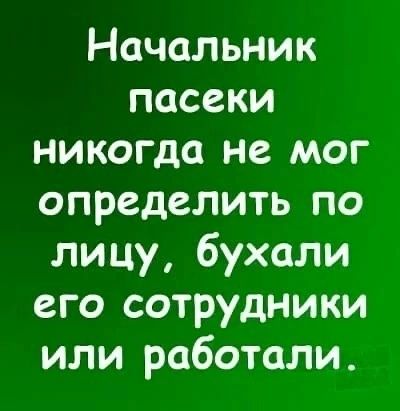 Начальник пасеки никогда не мог определить по лицу бухали его сотрудники или работали