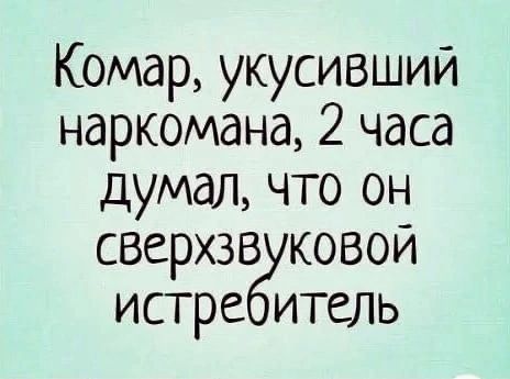 Комар укусивший наркомана 2 часа думал что он сверхзв ковои истре итель