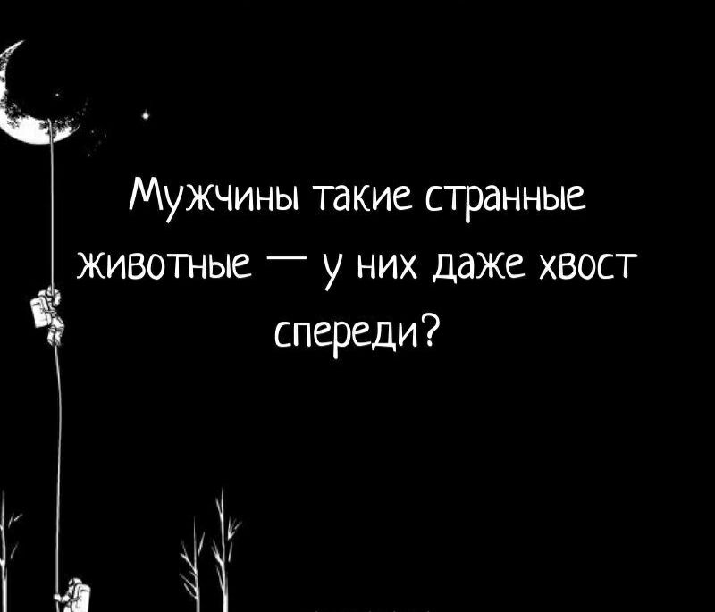МУЖЧИНЫ ТЕКИЕ СТрдННЫЕ ММВОТНЫС _ у НИХ даже ХВОСТ спереди