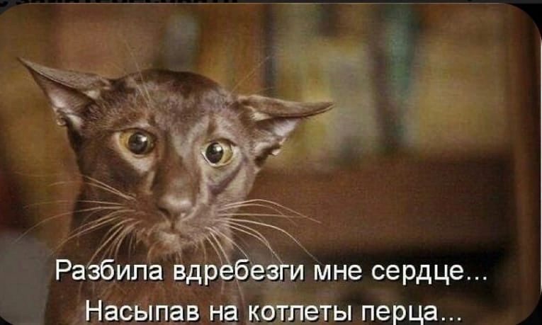 Насыпвв нё кста перца
