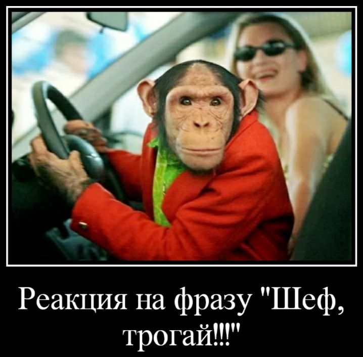 Реакция на фразу Шеф трогай