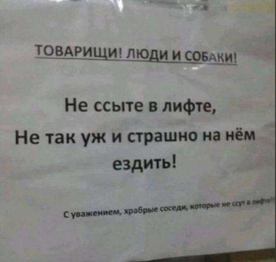 трвыаищищюди и совдщ Не ссыте в лифте Не так уж и страшно на нём ездить с мм