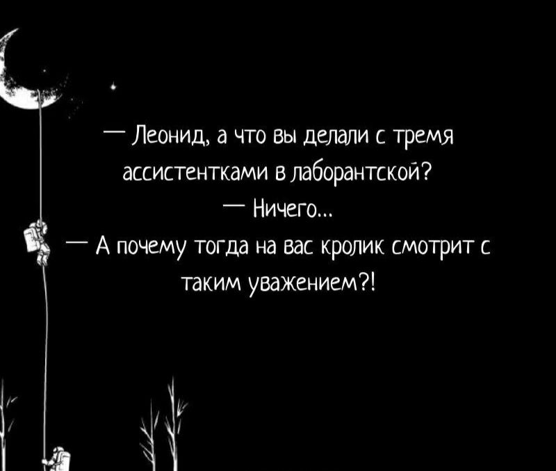 _ Леонид а что вы делали тремя ассистентками в лаборантской _ Ничгс А почему тогда на вас кролик митрит с таким уважением