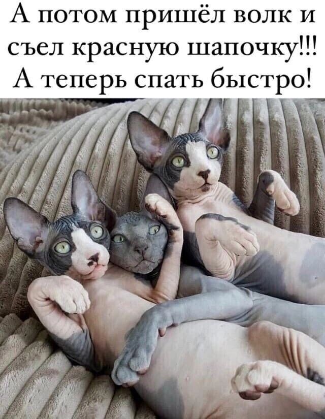 А потом пришёл волк и съел красную шапочку А теперь спать быстро