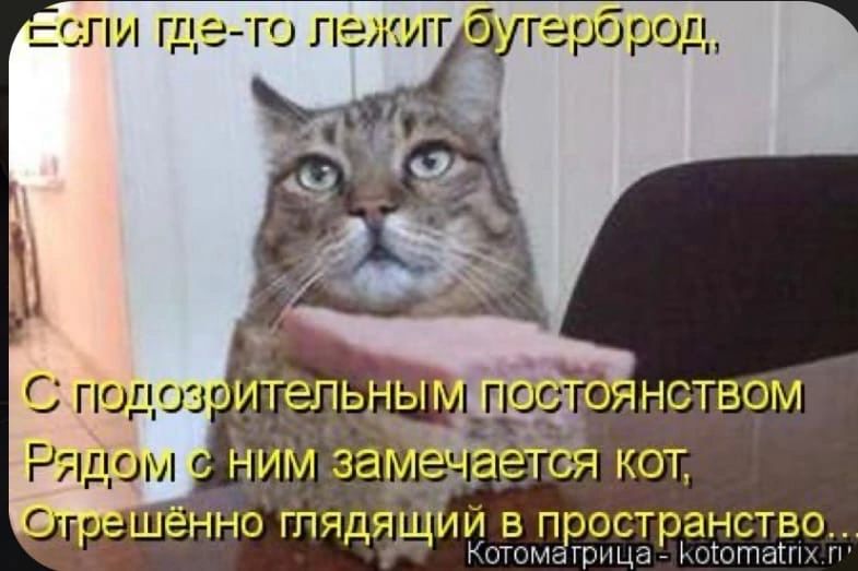 РОСТРЁНСТБО ГП