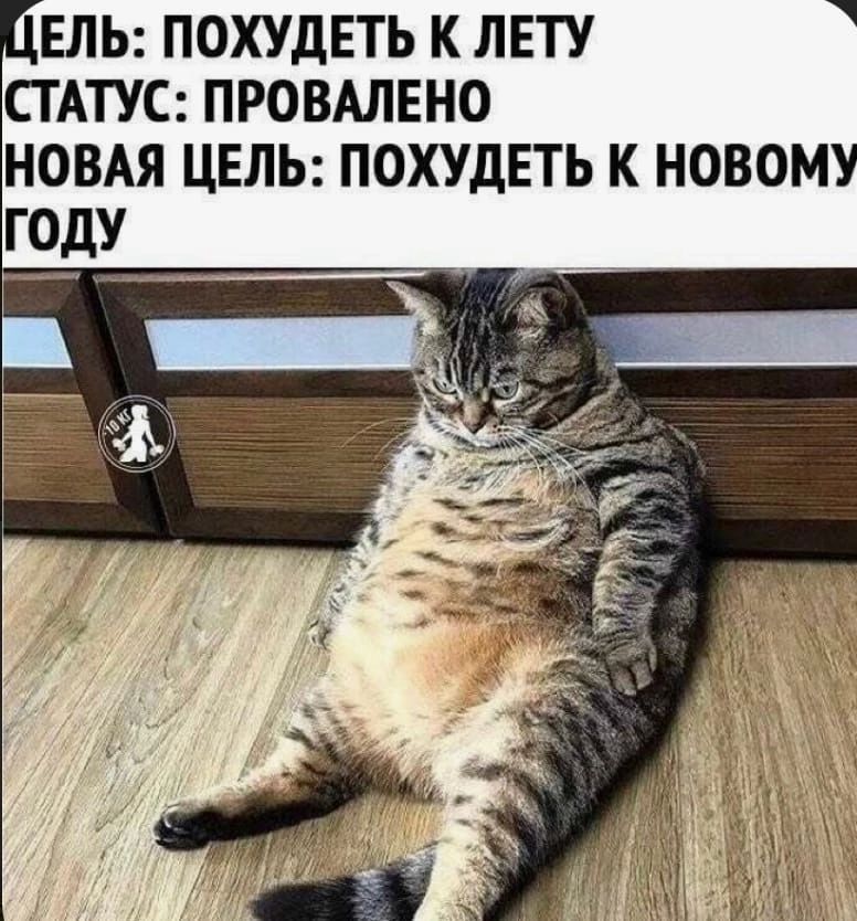 ЕЛЬ ПОХУДЕТЬ К ЛЕТУ СТАТУС ПРОВАЛЕНО НОВАЯ ЦЕЛЬ ПОХУДЕТЬ К НОВОМУ ГОДУ