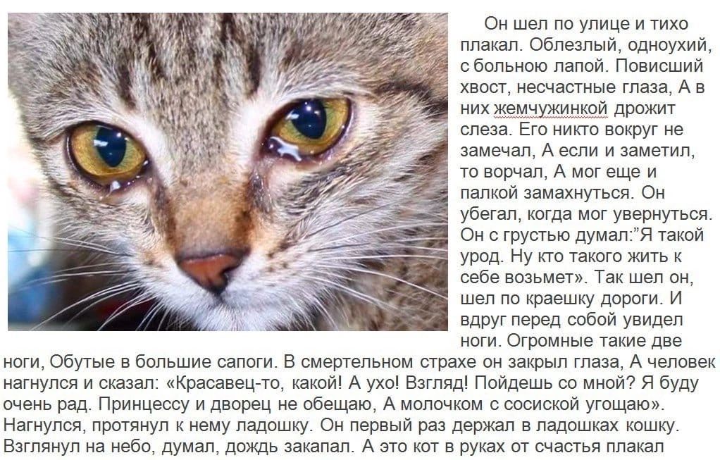 он шел на улице и то плакал смелый адипуши сбппьиою явной Повисший капс ьшшиыптижАн ихивмчуищиипй 1 спеша Ею а не замша А еппи и замаип чо нппчвп А мы еще и пвпкпй вмвхиуься о Убвгвп пГп мвгУиРИЬтся о а тушью думал я такой урод у кю такого жин к вебе впэамыи Гаи шел пи шап шашку дпши и виду пдд саваи увидил ноги ста имели Меги сбше в большие сапоги в щетепьиш треке так таза цепочек цащупы исиааап 