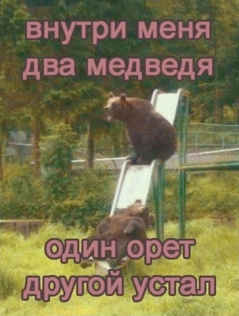 внутри меня два медведя