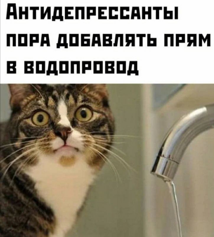 днтидвппвппднты пппд дпндвппть ним в впдппппвпд