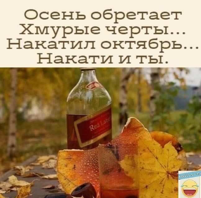 Осень обретает Хмурые черты Накатип октябрь Накати и ты