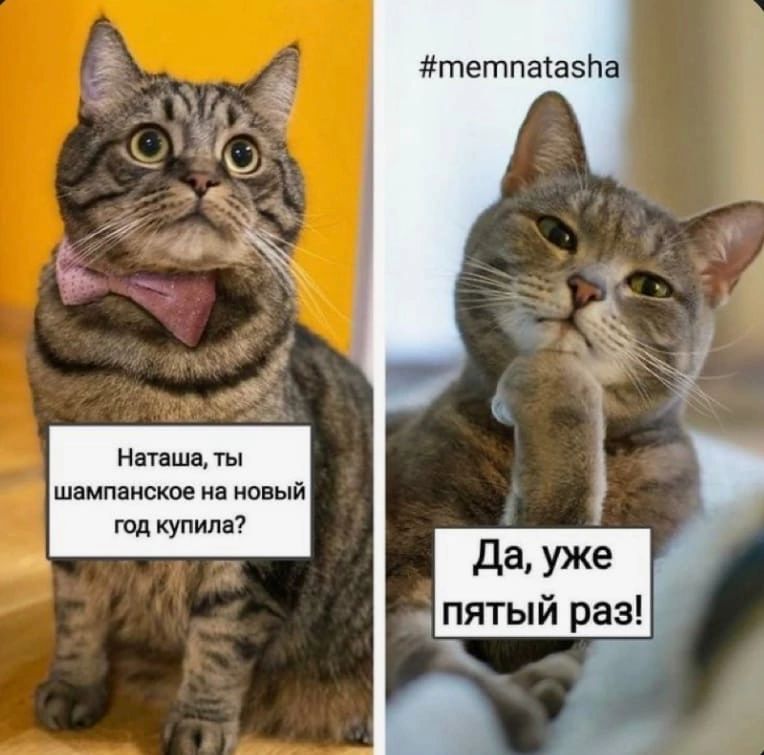 тетпаіаэйа Бк да уже пятыи ра Нат шп ты шампанское ип новый тд купила