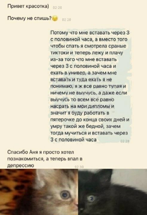 Поивет красотка Почему не спишь Пишу что в вставать через 3 с спашной чп вместо того чтобы спать я смптрепа сраные тикпжи теперь лежу и плачу ина того чго мм вставать через 3 с половиной часа и ехать в ужин в зачем мне вставать и туда ехать и И понимаю и ж все равно тупая и ничему ие выучусь в тже если выучи ю всем все равно наса ив маи дипломы и значит и буду ржать ппуерочке до конца своих дней и