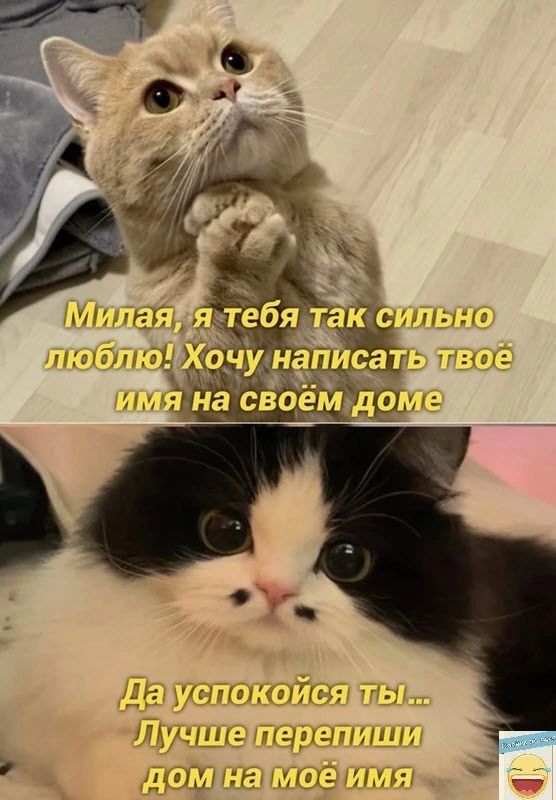 щин у мм мм