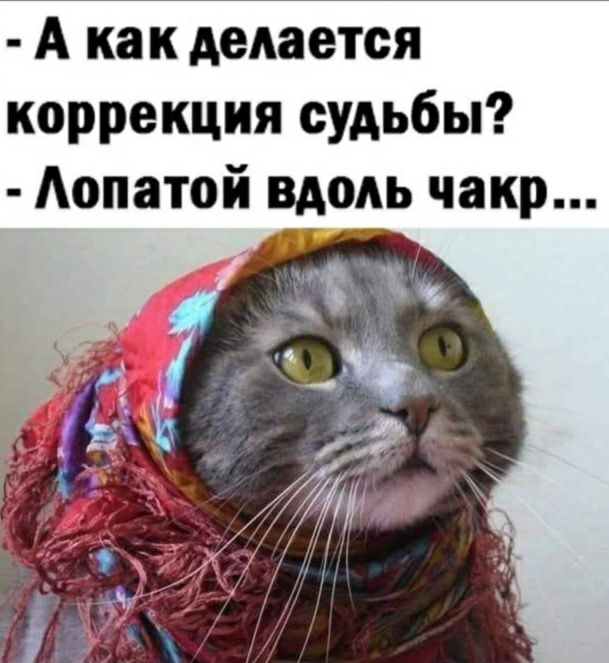 А как делается коррекция судьбы Аопатой вдокь чакр