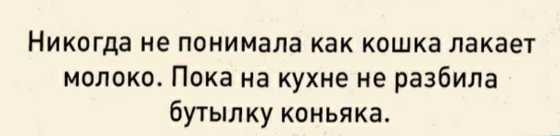 Никогда не понимала как кошка лакает молоко Пока на кухне не разбила бутылку коньяка