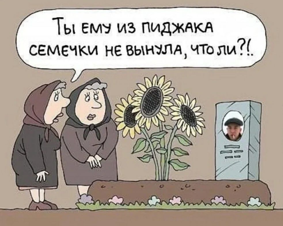 Ты вмз из пиджаки семечки не вышлд что ли