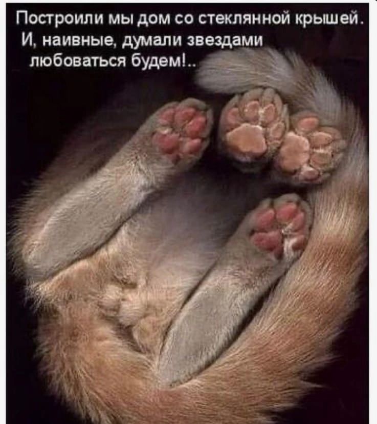 Построили мы дом со стеклянной крьшвй И наивные думали звездами любоваться будет