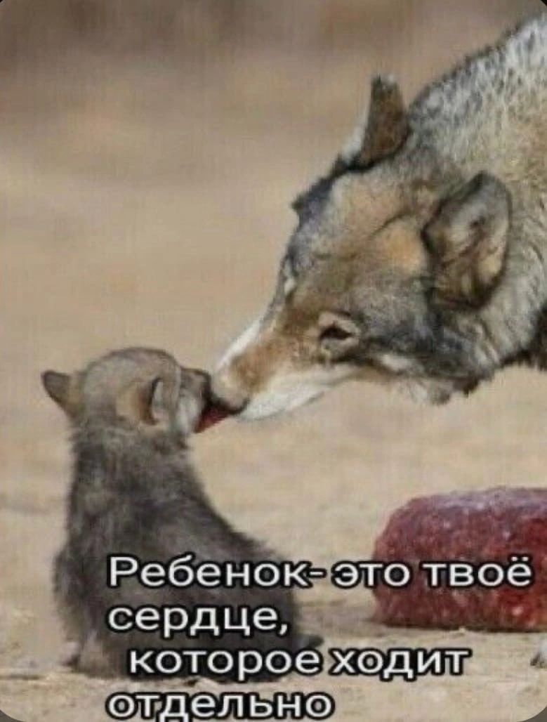 сердце которое