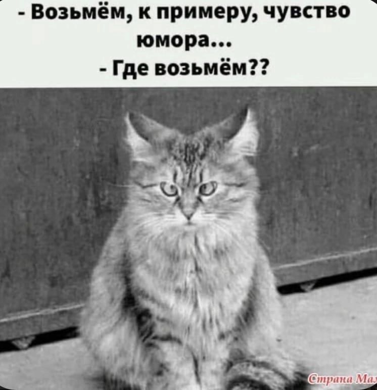 Возьмём к примеру чувство юмора Где возьмём