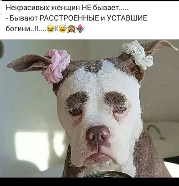 Некрасивых женщин НЕ бывает Бывают РАССТРОЕННЫЕ и УСТАВШИЕ богини даф