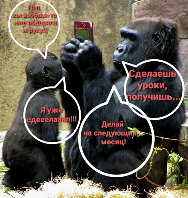Тв вы ра т