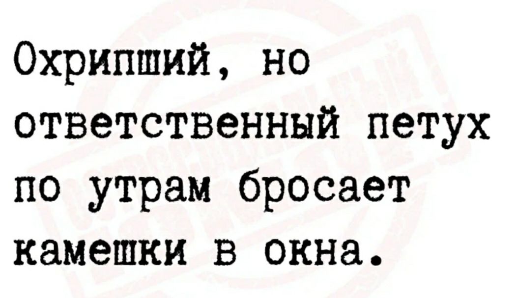 Охрипший но ответственный петух по утрам бросает камешки в окна