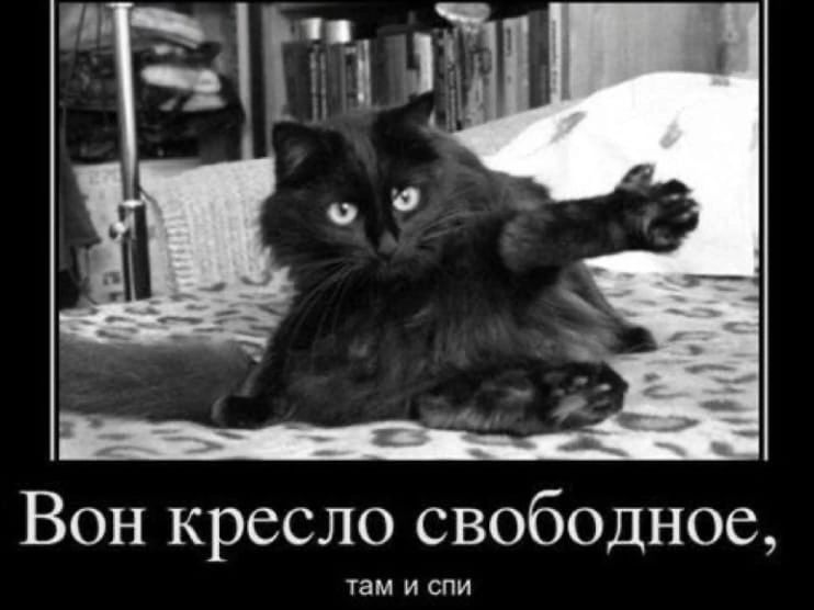 Вон кресло свободное Уам и спи