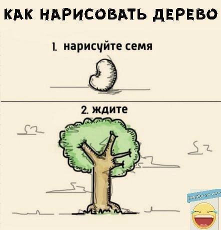 КАК НАРИСОВАТЬ дЕРЕВО иарисчйте семя