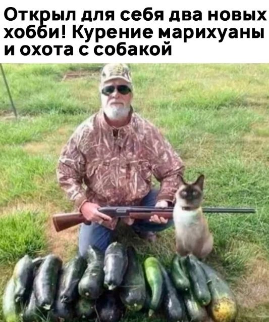 Отк ып для себя два новых хоб и Курение марихуаны и охота с собакой