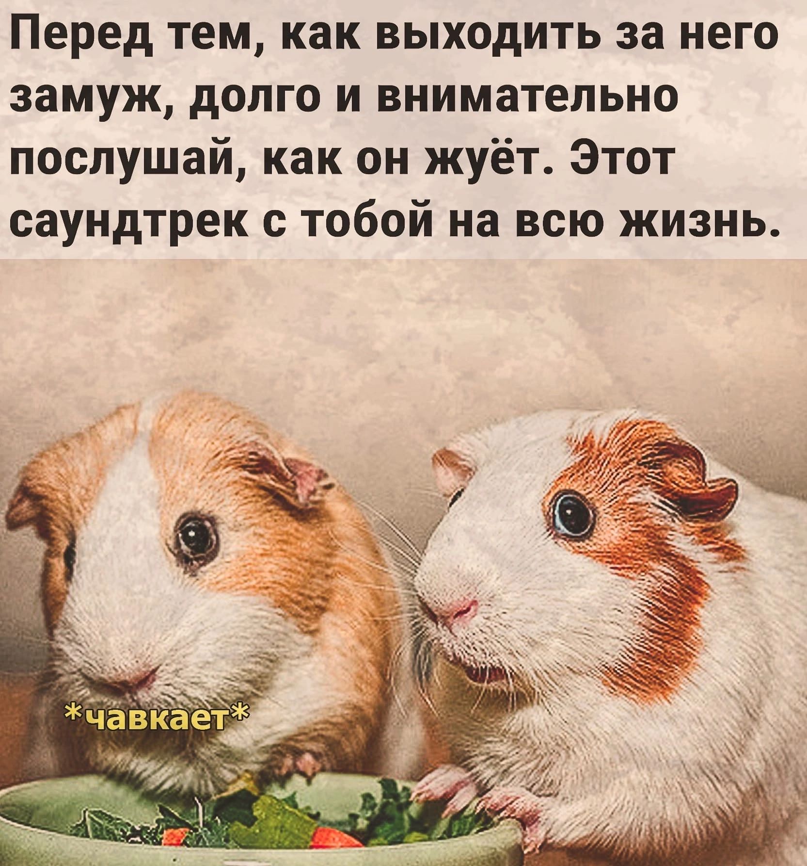 Перед тем как выходить за него замуж долго и внимательно послушай как он жуёт Этот саундтрек с тобой на всю жизнь