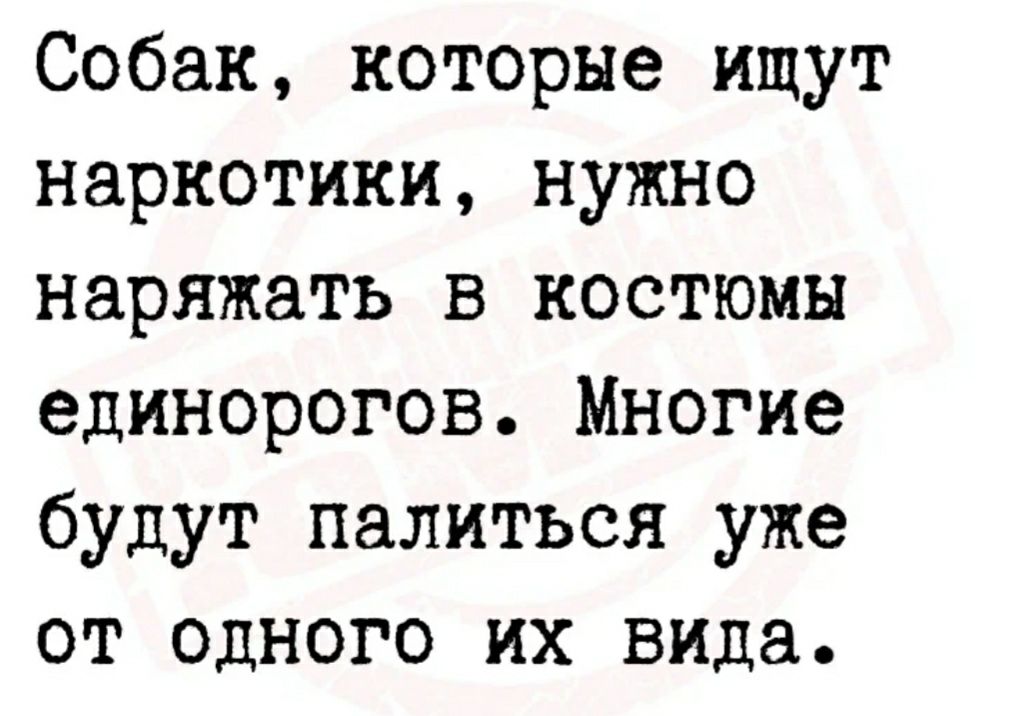 Собак которые ищут наркотики нужно наряжать в костюмы единорогов Многие будут напиться уже от одного их вида