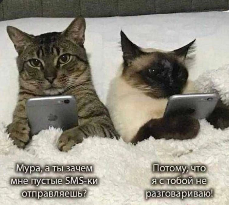 Потому ЧТО мне пустые БМЗ ки я тобой не отправляешь пазговариваю