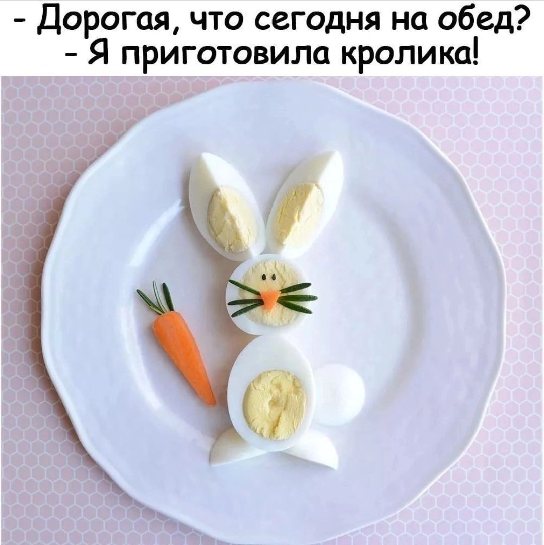 Дорогая что сегодня на обед Я приготовила кролика