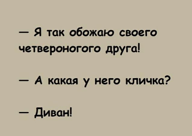 Я так обожаю своего четвероногого друга А какая у него кличка Диван