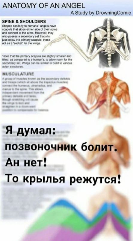 АМАТОМУ ОР АМ АМБЕЬ Ашау Ьу Птпіпвоотіс зтвдвиощщз иии мнутм шпушитщиииш пипшюпмп мм ишш дип питта п и ммшшцщцптшищ вы ш вы мита ню пикши Ап Я думал названочт б Ан нет То крылья режутся