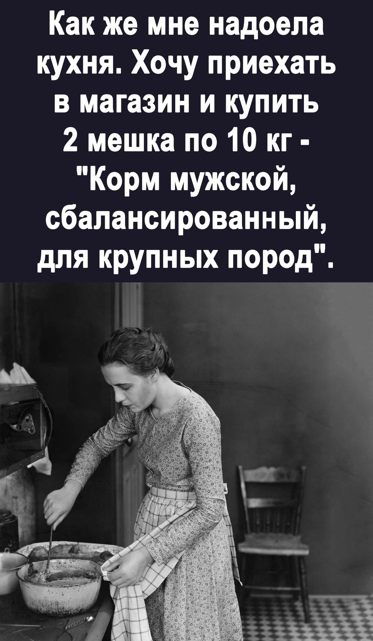 Как же мне надоела кухня Хочу приехать в магазин и купить 2 мешка по 10 кг Корм мужской сбалансированный для крупных пород