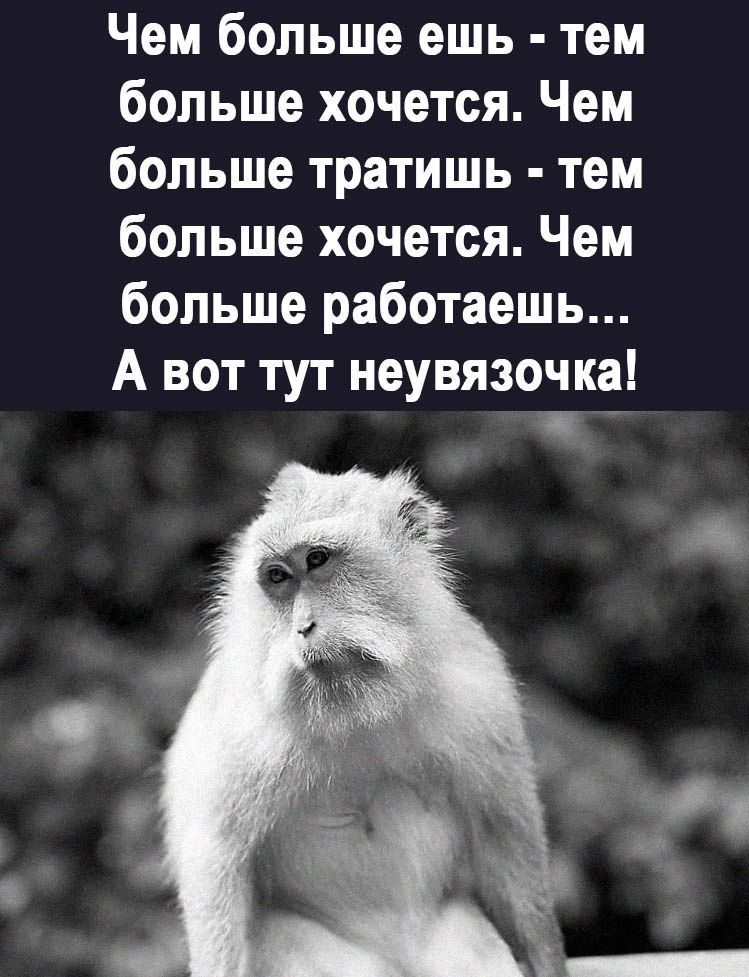 Чем больше ешь тем больше хочется Чем больше тратишь тем больше хочется Чем больше работаешь А вот тут неувязочка