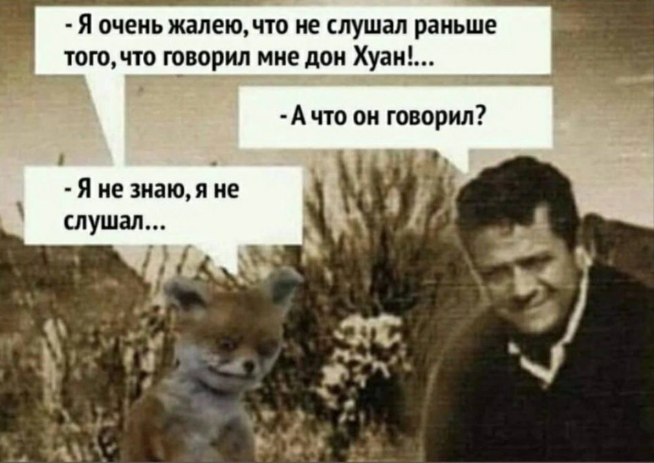 Я очень жалею па не лушал раньше тогочто творил мне дон Хуан Я не вкаюм не слушал