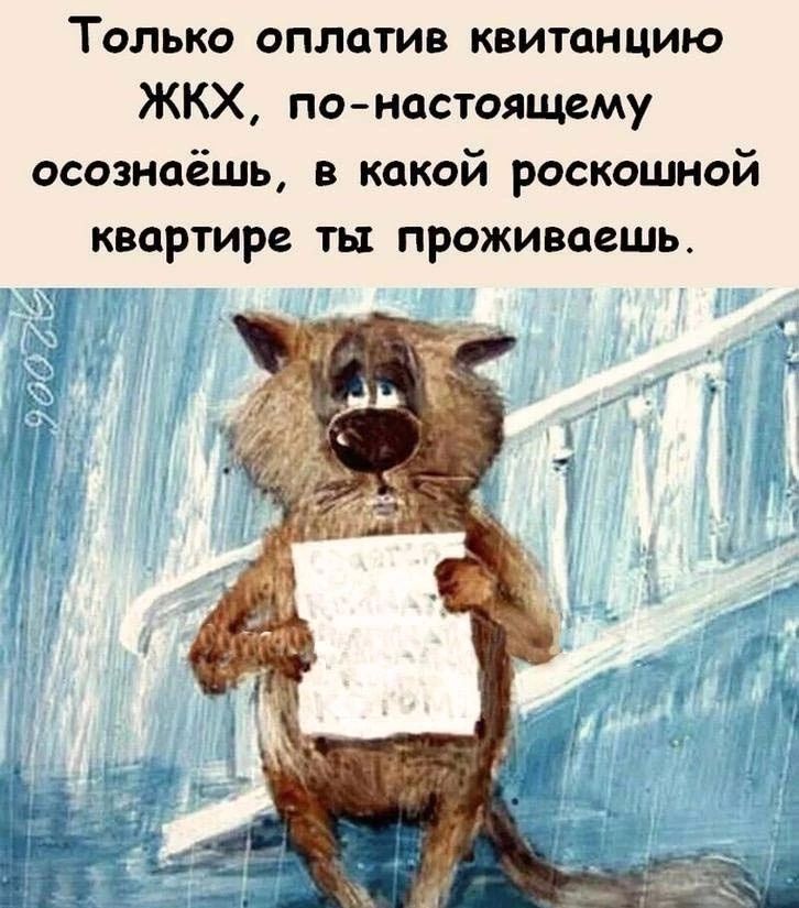 Только оплатив квитанцию ЖКХ пснастоящему осознаёшь в какой роскошной квартире ть проживаешь