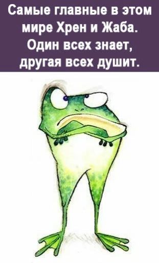 Самые главные в этом мире Хрен и Жаба Один всех знает другая всех душит