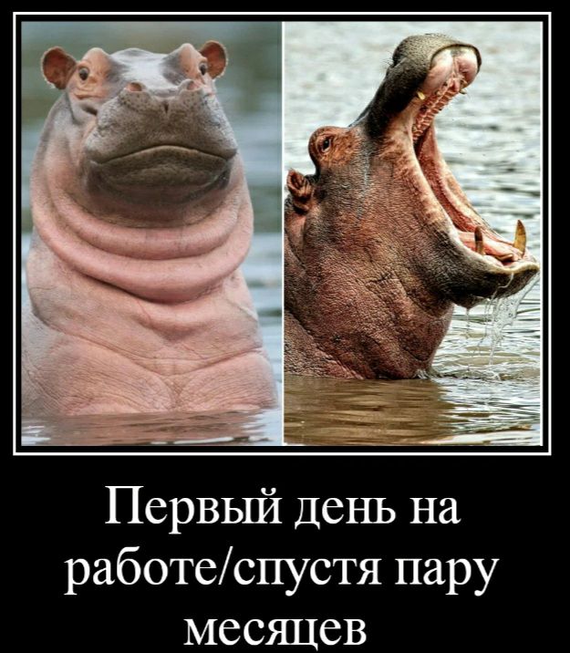 Первьпи1 день на работеспустя пару месяцев