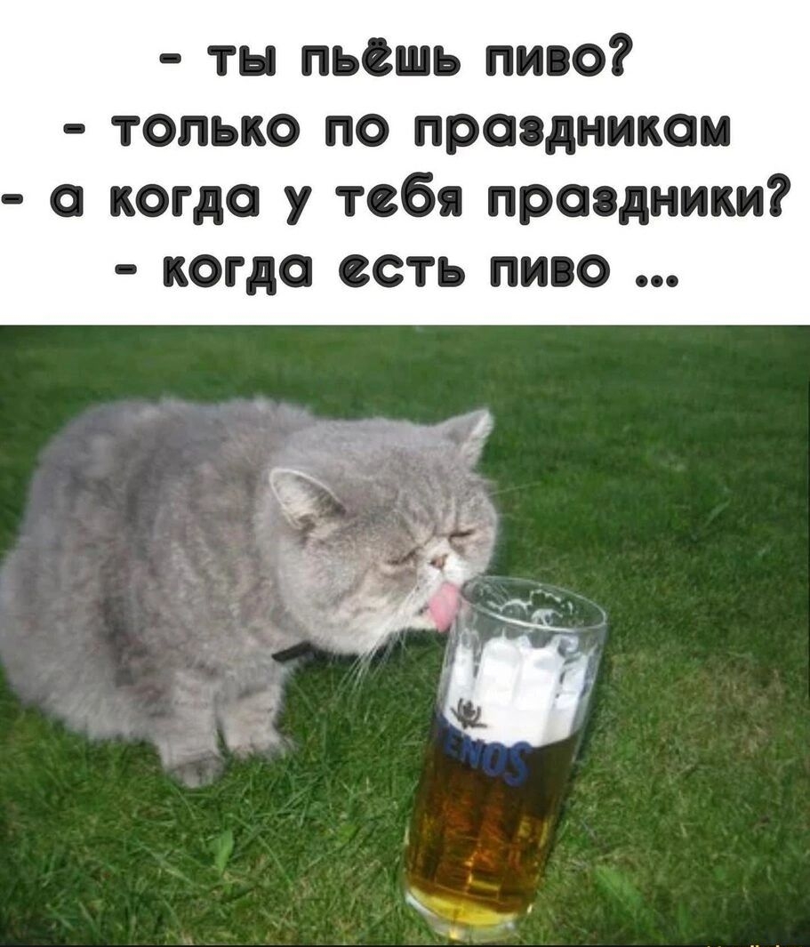 тн пьешь пиво только по праздникам а когда у тебя праздники когда есть ПНПО
