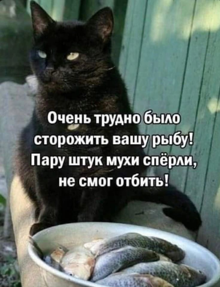 сторожить вашу рыбу Пару штук мухи спёріщ не смог отбить