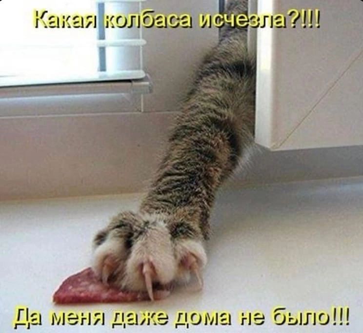 ке дома не было