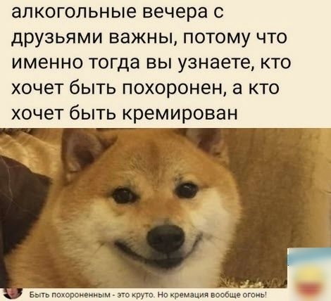 алкогольные вечера С друзьями ВЗЖНЫ ПОТОМУ ЧТО ИМЕННО тогда ВЫ узнаете КТО хочет бЫТЬ похоронен а КТО ХОЧЕТ бЫТЬ кремирован
