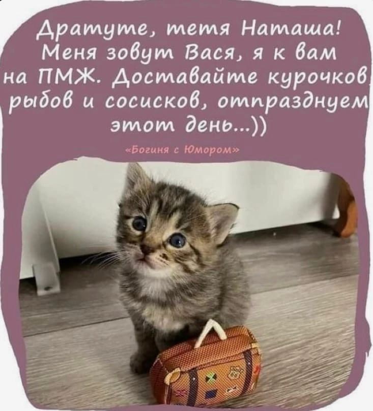 драмуме тетя Наташа Меня зовут Вася я к Вам на ПМЖ Аасмабайме курочкоб рыбоб и сосискоб отпразднуем этот день