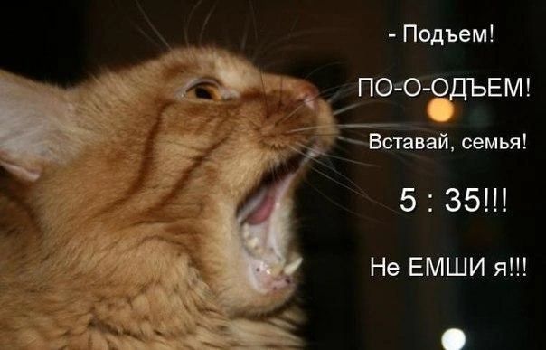 Подъем ПОЮ ЗДЪЕМ Вставай семья 5 35 Не ЕМШИ я