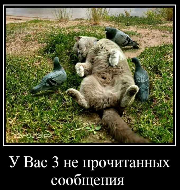 У Вас 3 не прочитанных сообщения